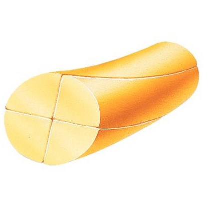 4/0 Plain Gut C3 12/box