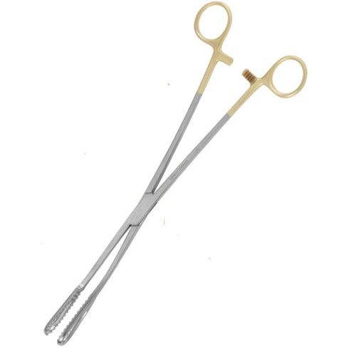 Agadi-Bierer Ovum Forceps 13"