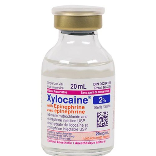 Xylocaine 2% w/Epi 20ml 10vials/cs