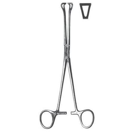 Babcock Tissue Forcep 6.25"