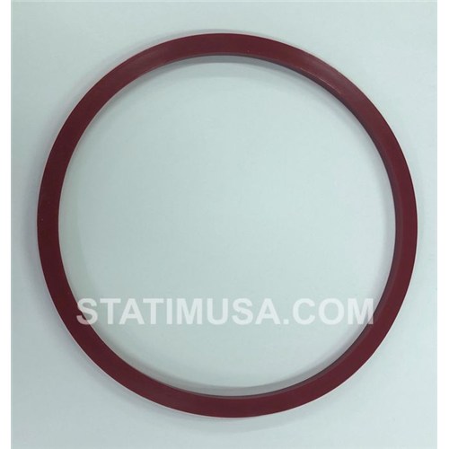 DOOR GASKET F/#2340M AUTOCLAVE