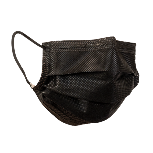 Face Mask Earloop Black 50/10bx/cs