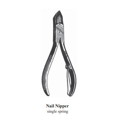 Nail Nipper Single Spring 5" Stainless