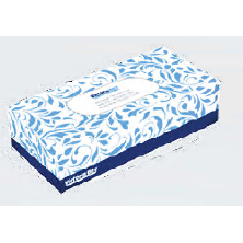 Facial Tissue 2ply 100/30BX/CS