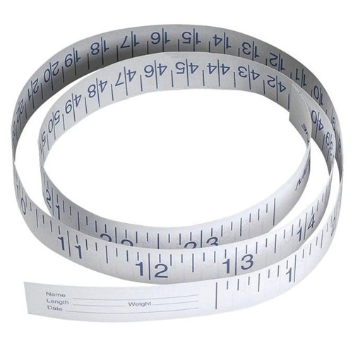 Disposable Paper Tape Measure 72" 500/CS