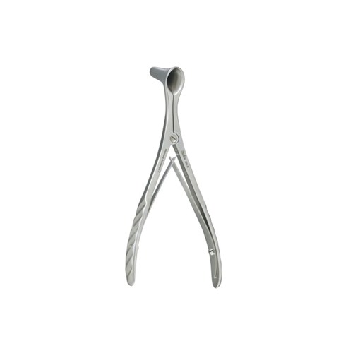 VIENNA SPECULA LARGE STD