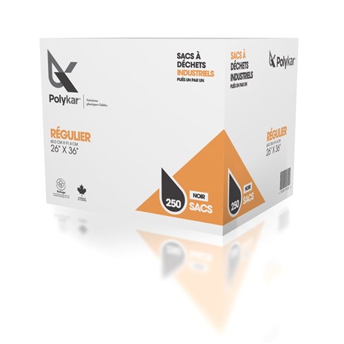 Garbage Bags Reg. Black 26x36 250/Cs