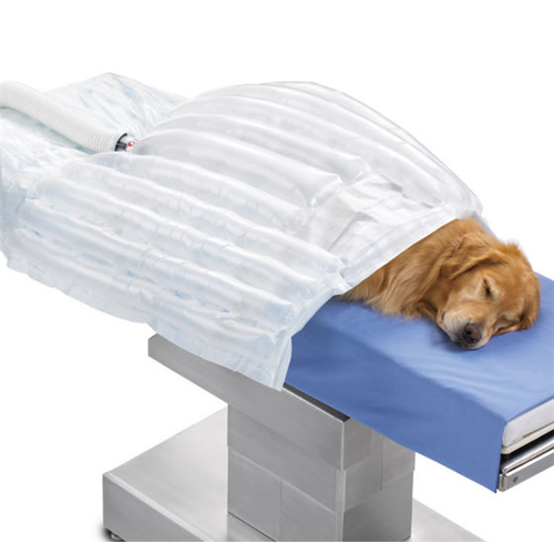 Bair Hugger Animal Blanket Sm 10/Cs