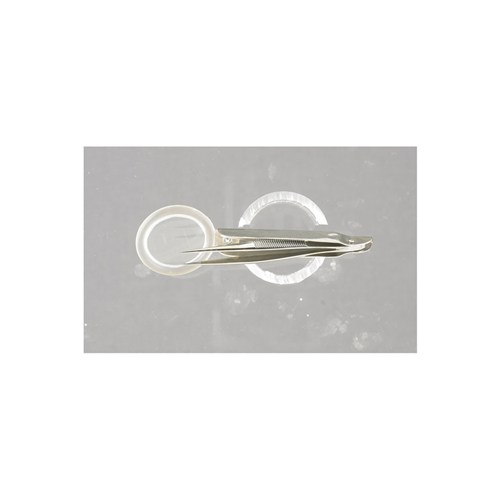 Splinter Forceps W/Magnifier