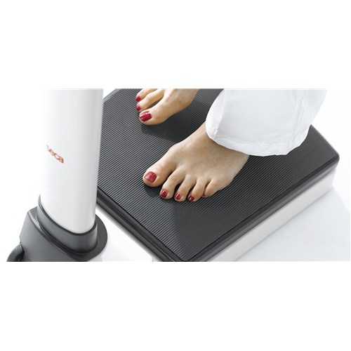 Digital Scale and Height Rod & BMI