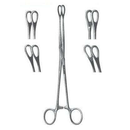Foerster Sponge Forcep Str Serrated 7"
