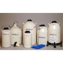Dewar Liquid Nitrogen Storage Tank 20Lt
