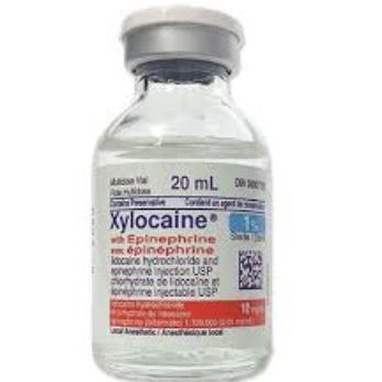 Xylocaine 1% w/Epi 20ml 1:100m 10vial/cs