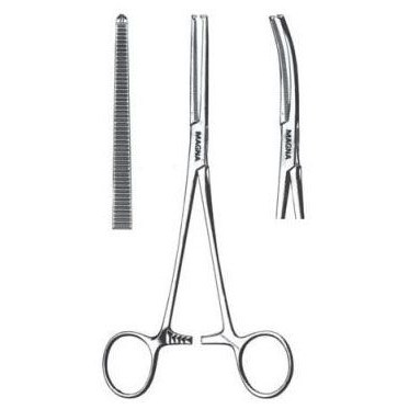 Rochester-Ochsner Forcep 1x2 Teeth 8 3/4