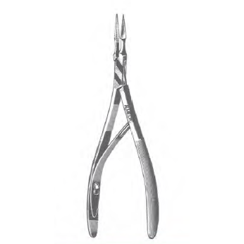 Ralks Virtus Splinter Forcep 6"