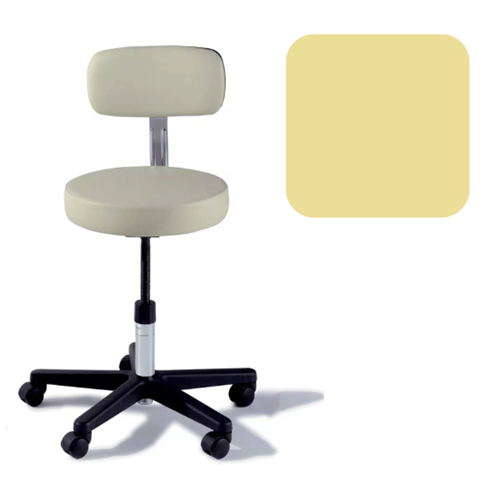 Adjustable Stool with Back Citrus