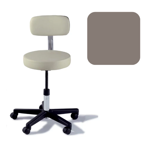 Adjustable Stool with Back Latte