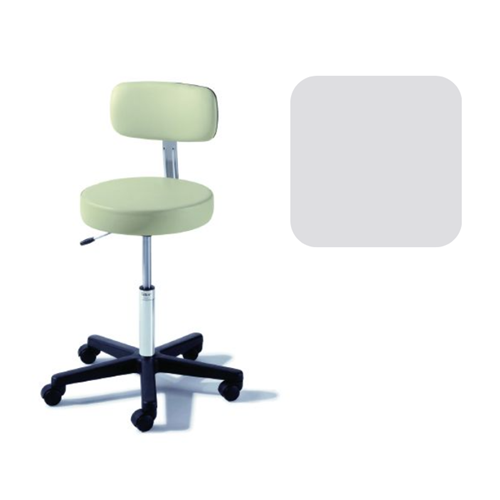 Air Lift Stool with Backrest Mist