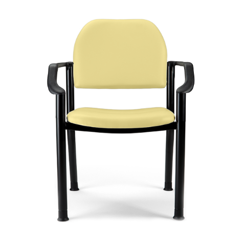 Side Chair With Arms - Citrus