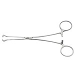 Babcock Tissue Forcep 6.25"