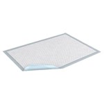 Tena AirFlow Underpad 23"x36" 10/6pk/cs