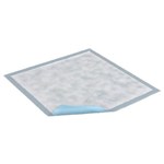 Tena Regular Underpad 17"x24" 25/12pk/cs
