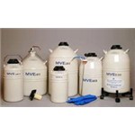 Dewar Liquid Nitrogen Storage Tank 20Lt