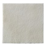 Seasorb Biatain Alginate 1x17.5" 10/bx