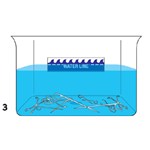 Water Fill Line Sticker 10/P