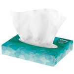 Kleenex 2ply Jr Facial Tissue 65/48BX/CS